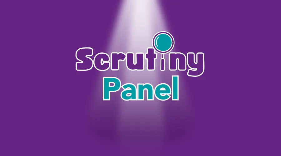 Scrutiny Panel