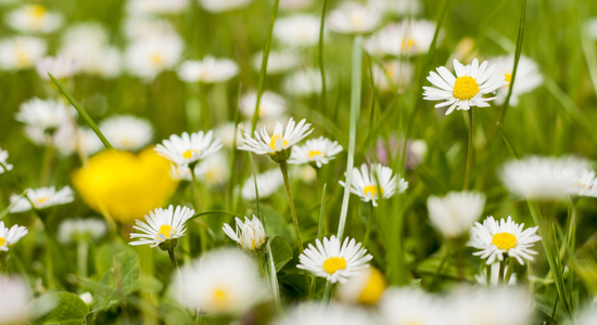 May Bank Holiday Message